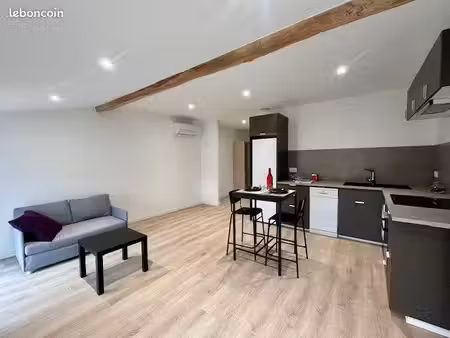 appartement meublé t2 55m² | cave | climatisation