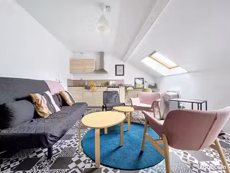 studio 1 pièce 20 m²