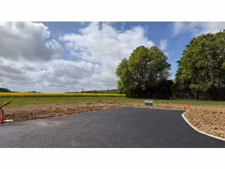 vente terrain 650 m² à beaumont-la-ronce (37360)  65 900 €