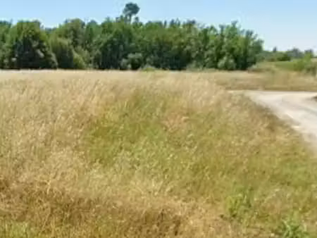 vente terrain 600 m² à pugnac (33710)  69 000 €