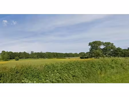 vente terrain 547 m² à artannes-sur-indre (37260)  89 500 €