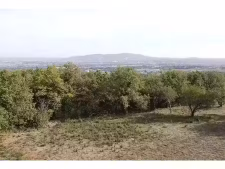 vente terrain à batir 1352 m² à marcy (69480)  229 000 €