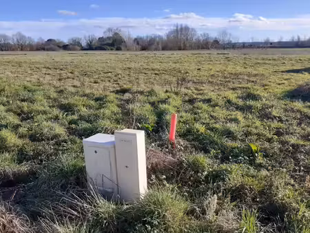 vente terrain 913 m² à saint-lieux-lès-lavaur (81500)  110 000 €