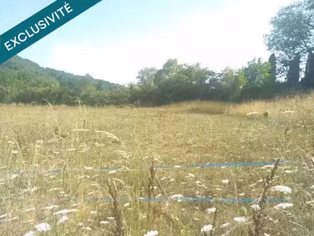 vente terrain à batir 10242 m² à manses (09500)  126 500 €