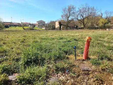 vente terrain 1108 m² à la salvetat-saint-gilles (31880)  238 000 €