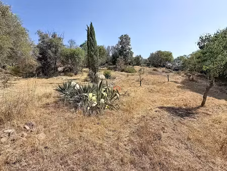 vente terrain à batir 2731 m² à albitreccia (20128)  695 000 €