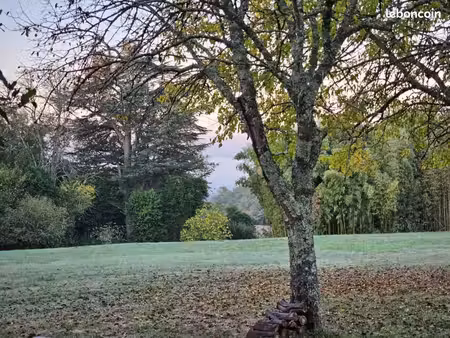 terrain 540 m² loupes