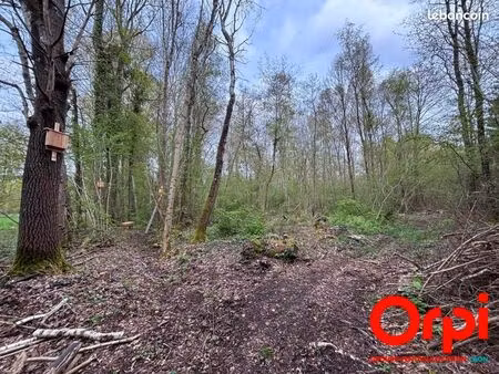 terrain 8 247 m² vaucelles et beffecourt