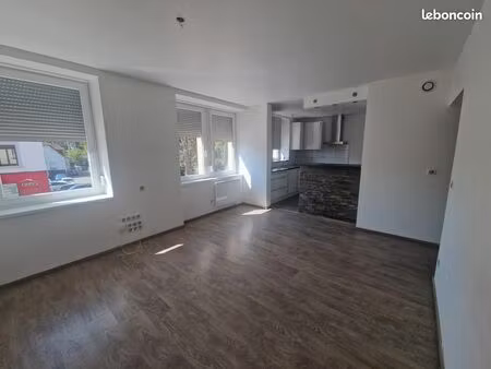 t3 lumineux rénové 55m² + garage + cave - brunstatt