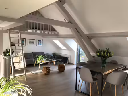 exceptionnel - loft t3 meublé centre amiens henriville avec terrasse plein sud