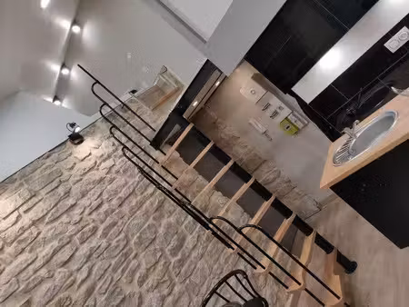 location appartement 1 pièce 21 m² à nancy (54000)  519 €