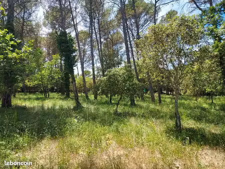 terrain 664 m² gareoult