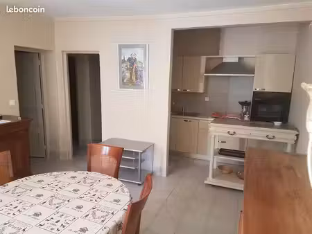 appartement 3 pieces 48m² avec locataire