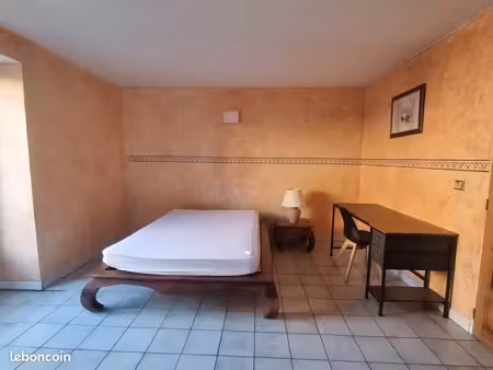 bel appartement lumineux