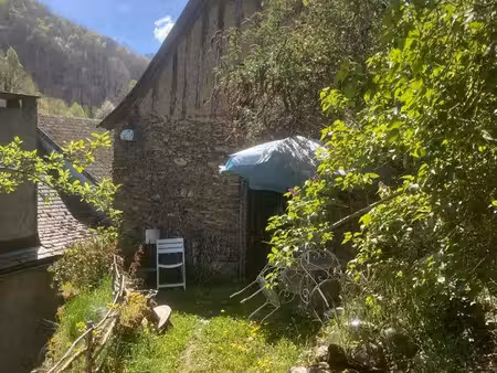maison de village avec grange et jardin