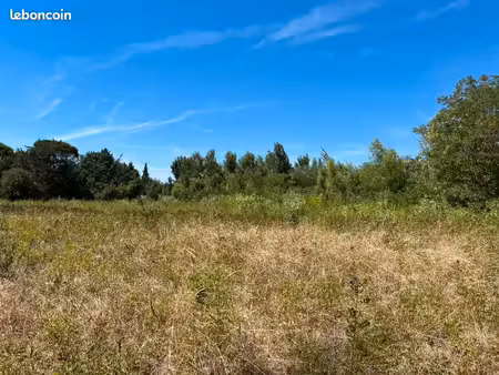 terrain 403 m² castelnaudary