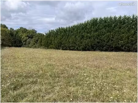 terrain à bâtir de 2175 m2 au prix de 40000 à maine-de-boixe (16)