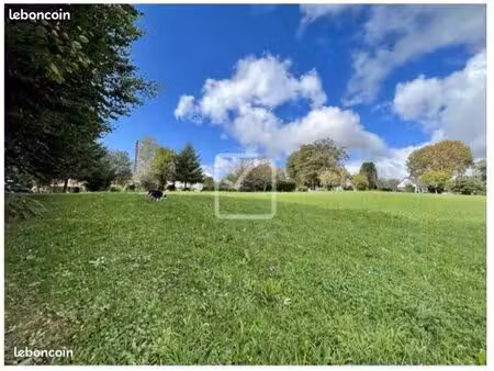 terrain avec cu