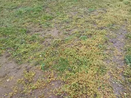 terrains à bâtir auxonne 21