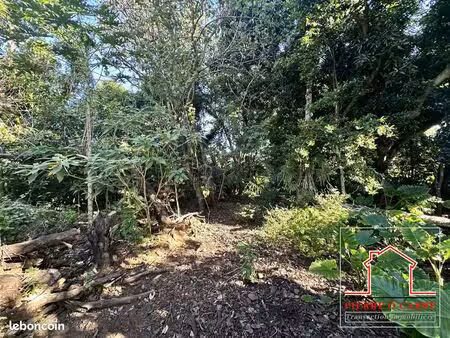 terrain 1205 m² sainte-rose