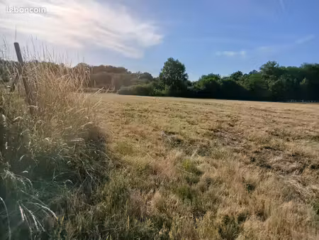 terrain constructible