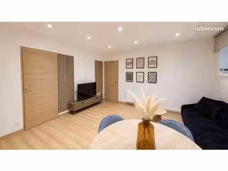 appartement 1 pièce 45 m²