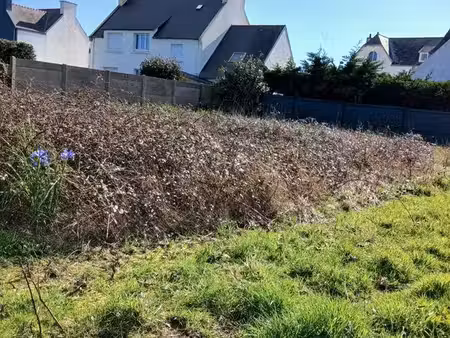 terrain constructible