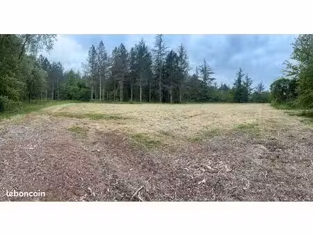 terrain 2000m2