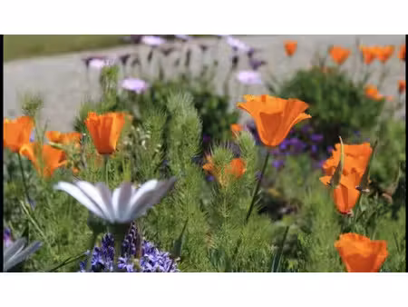 vente maison 5 pièces 95 m² saint-germain-du-bois (71330)