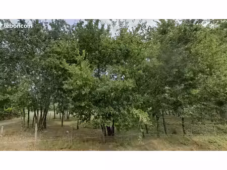 terrain 808 m² gujan mestras