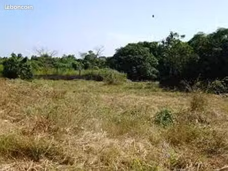 terrain 645 m² cissac medoc