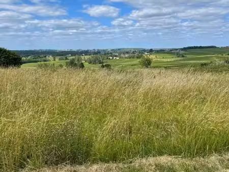 terrain 793 m² saint maixant