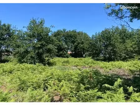 terrain à bâtir de 350 m² à gastes (40)