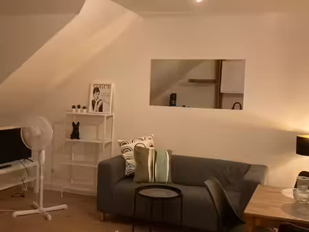 saint-aignan centre – t2 meublé 41 m²