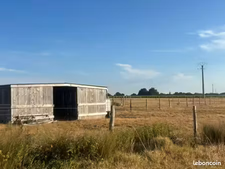 terrain 1 5 hectare avec petite écurie