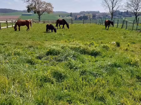 recherche terrain agricole pour animaux