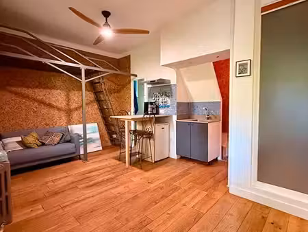 duplex 1 pièce 50 m²