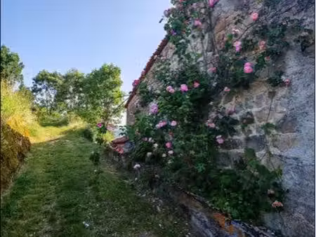 cherche terrain agricole/loisir/verger