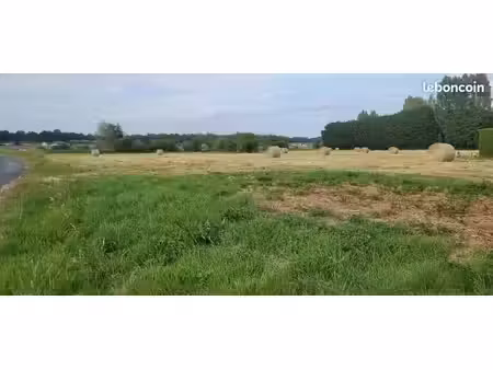 germigny-des-prés : un terrain rare à découvrir