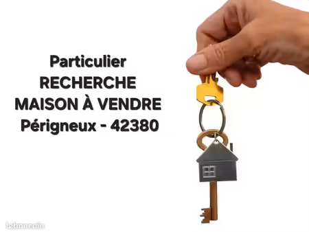 particulier recherche maison périgneux (42380)