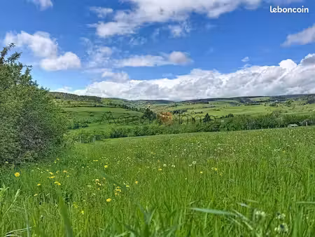 terrain 4 038 m² mont lozere et goulet
