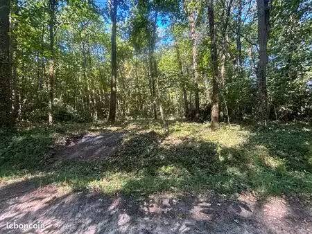 terrain bois 4000m2