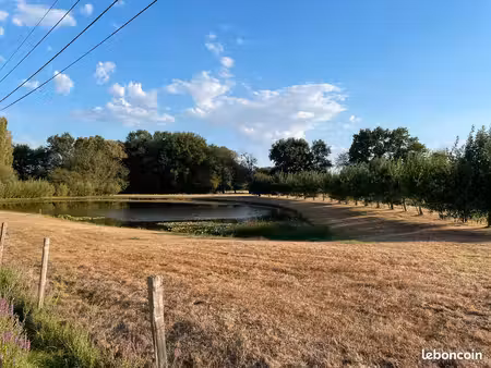 terrain avec un étang