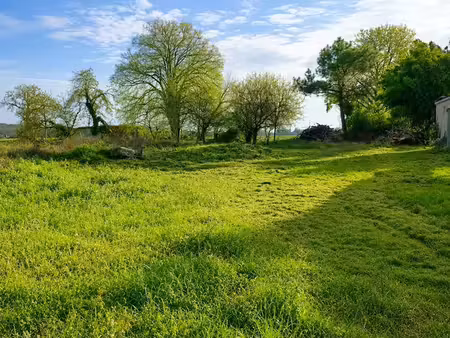 ? terrain constructible 1 792 m² - 39 euros / m² - 10 min de saumur