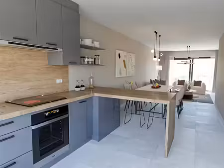 duplex à louer à brusselbaan 33 erembodegem (rbw67313)
