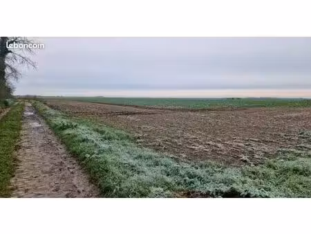 terrain 552 m² roucourt