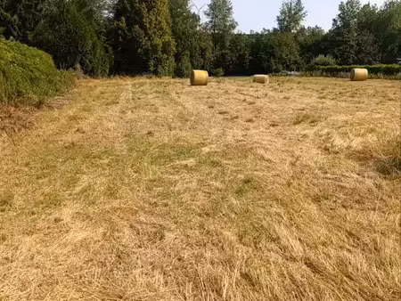 terrain constructible