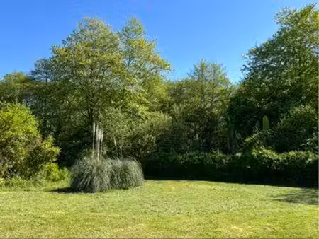 terrain de 1100 m2  unique & projet divisible   forêt en première ligne