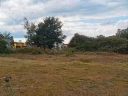 terrain constructible