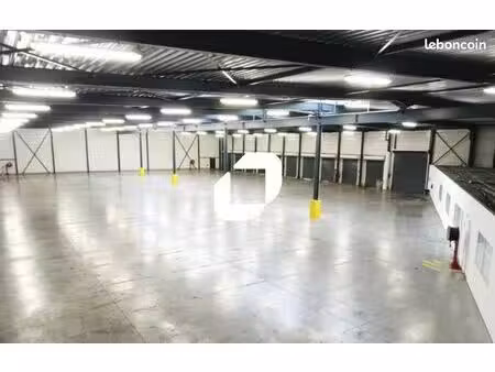 local bureaux 942 m²